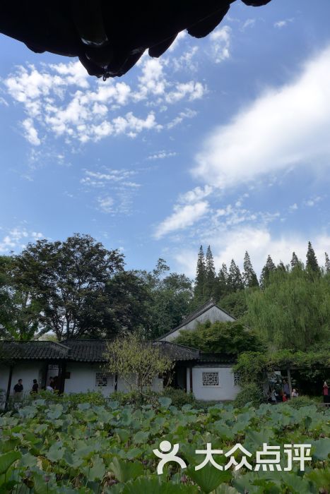 醉白池公園-景點圖片-上海周邊遊-大眾點評網