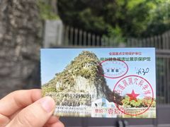 -柳州白莲洞洞穴科学博物馆