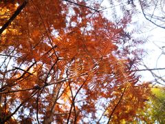 -嵖岈山风景区
