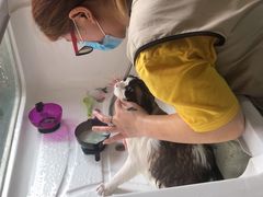 -十年猫舍·猫咪专门店(普陀店)