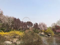 -石家庄市植物园