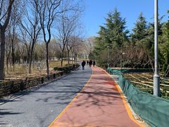 -大兴滨河森林公园