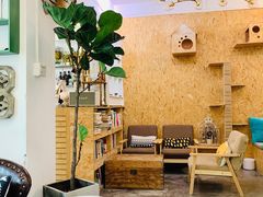 -拾壹cafe·工作室