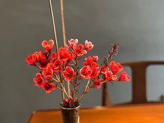 -觀芷隐轩
