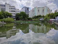 -苏州河梦清园环保主题公园