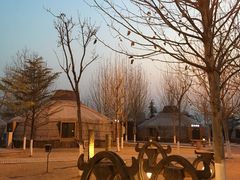 -九十九顶毡房(阜石路店)