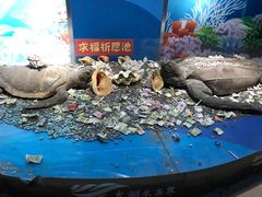 -苏州海洋馆