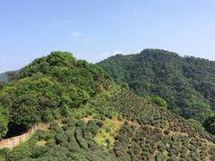 iphone_upload_pic-西湖风景区十里琅珰-五云山