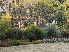 -徐家汇源景区-衡山公园