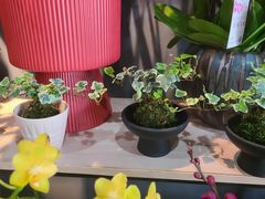 -天山集市(和家乐广场店)