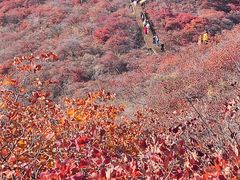 -水峪民俗村