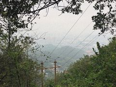 -茶颜悦色(岳麓山顶店)