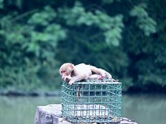 -宁波野生动物园