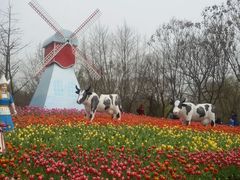 android_upload_pic-解放公园