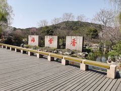-香雪海