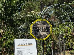 -Torch Coffee 炬点咖啡