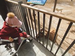 -石家庄市动物园