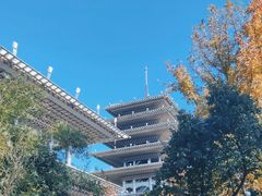 -临平公园(临平街道)