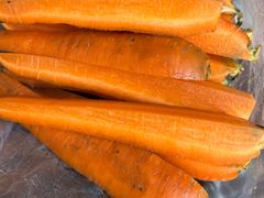 -北京群众马术培训基地