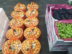 -西郊国际农产品交易中心