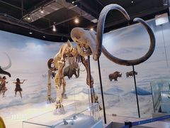 -辽宁古生物博物馆
