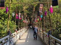 -西双版纳原始森林公园