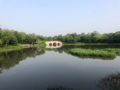 -西溪国家湿地公园