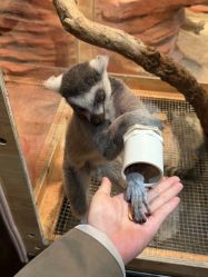 -Zoolung Zoolung动物主题公园(海信广场店)