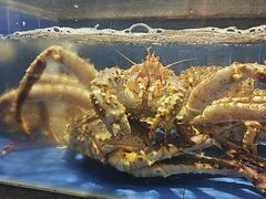 -徐记海鲜(陕西历史博物馆|明德门店)