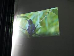 -UCCA Kids 儿童美育