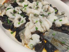 -三千院·东篱(东门店)