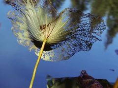 -艾溪湖湿地公园