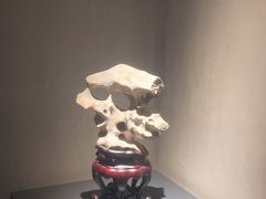 -觀芷隐轩