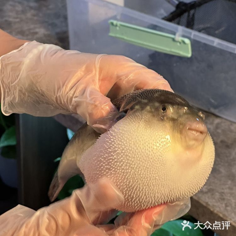 郑州！适合520约会的漂亮饭！！！