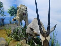 -西霞口神雕山野生动物世界