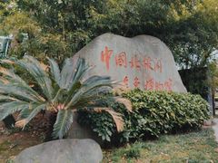 -北极阁公园