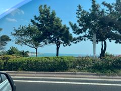 -如意香辣鸡架(总店)