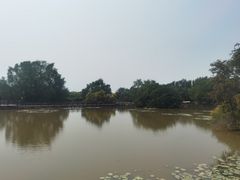 -大湾区中央湿地公园