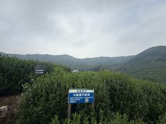 -十里琅珰