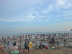 -西涌国际滨海旅游区