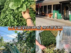 -小乡小镇·传承桐庐土菜·老板亲自烧的菜