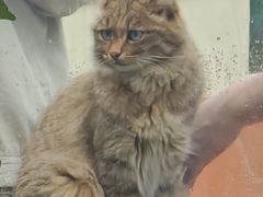 -青藏高原野生动物园