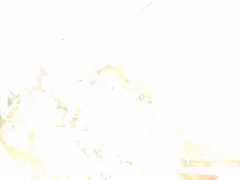 -见味花甲(福田coco park店)