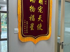 -瑞鹏宠物医院·骨外科·心肾科·肿瘤科(九亭店)