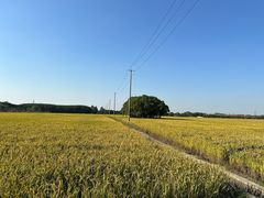 -嘉北郊野公园