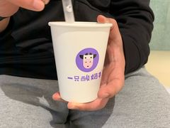 -一只酸奶牛(曲江龙湖星悦荟店)