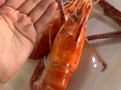 -品鲜村农家菜·阳澄湖大闸蟹(总店)