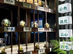 -芸山季·云南山珍菌火锅(人民广场来福士店)