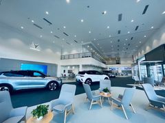 -北汽鹏龙ARCFOX极狐(国贸店)