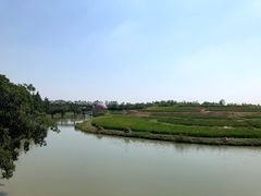 -乌村
